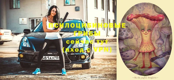 дживик Лихославль