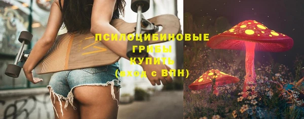 дмт Лиски